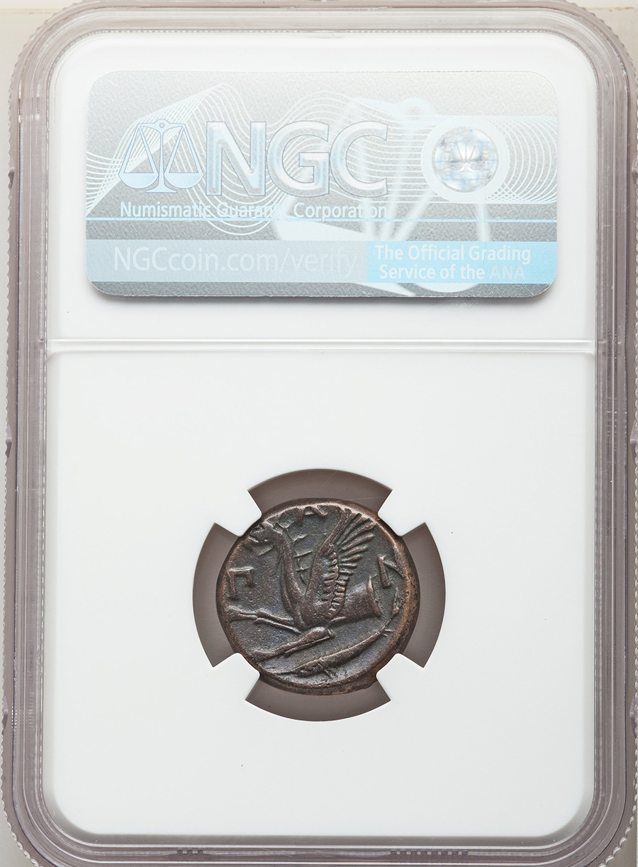 What's-The-Best-Way-To-Become-Educated-On-Ancient-Greek-And-Roman-Coins?